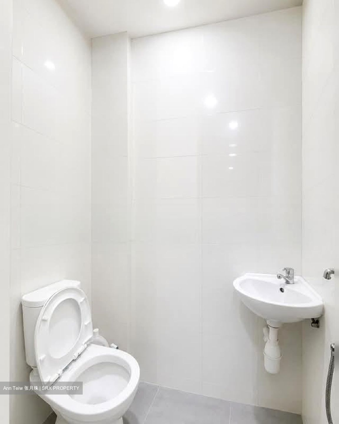 The Skywoods (D23), Condominium #585157381